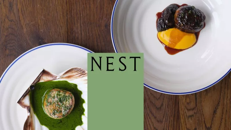 Nest Feature Image