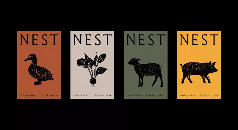 Nest Illustrations