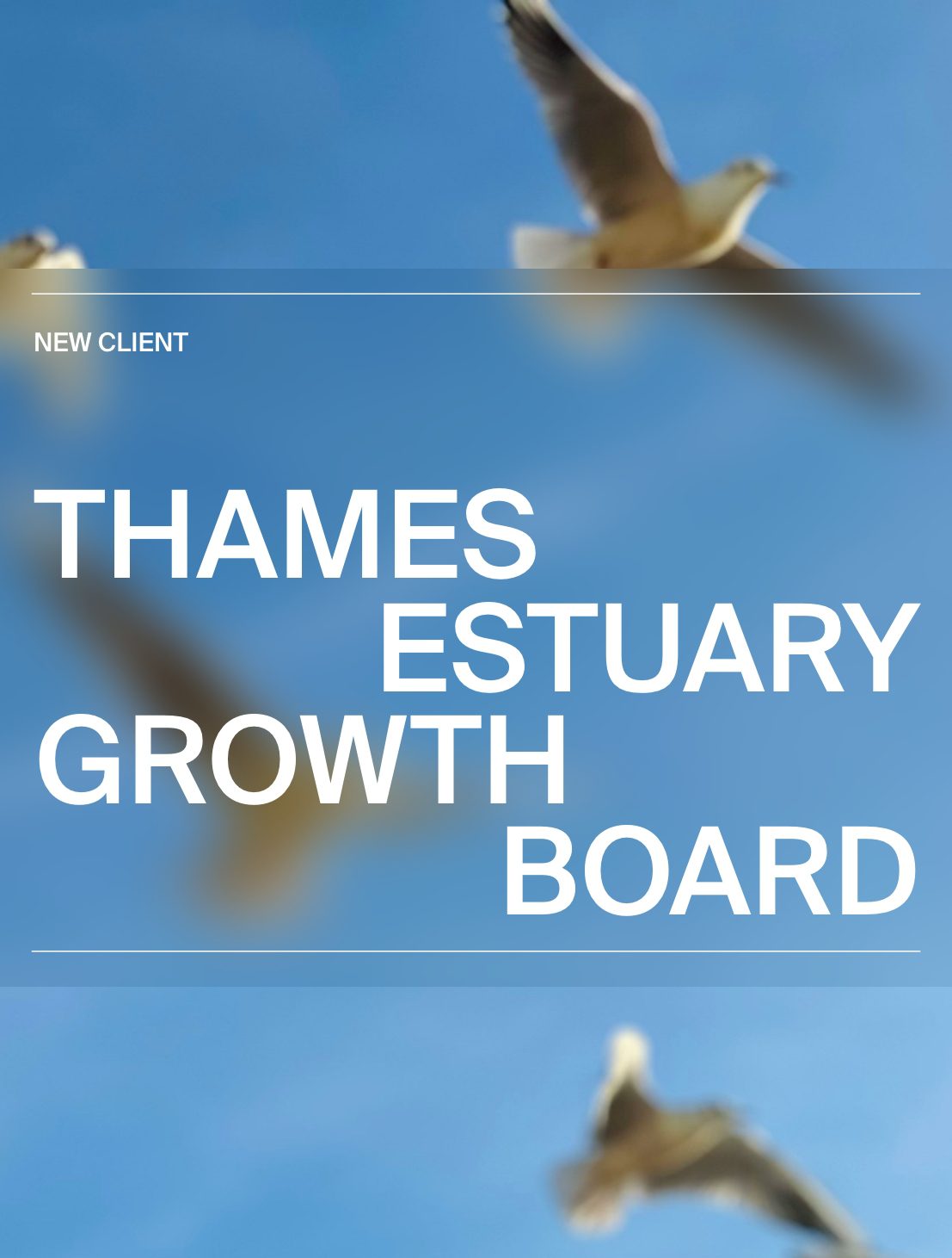 Anatomy partners with Thames Estuary Growth Board to support mission